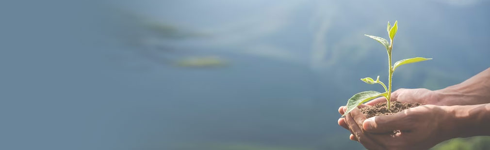 ҫ