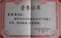 ϸʵȫʩȷȫƽȹӱ˾ɭܾʯׯΪ2013ȰȫȽ